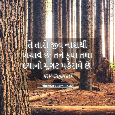 Picture 05 - ગીતશાસ્ત્ર 103:4 GUJIRV - તે તારો જીવ નાશથી - Bible Verse Picture
