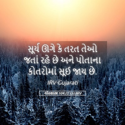 Picture 05 - ગીતશાસ્ત્ર 104:22 GUJIRV - સૂર્ય ઊગે કે તરત - Bible Verse Picture