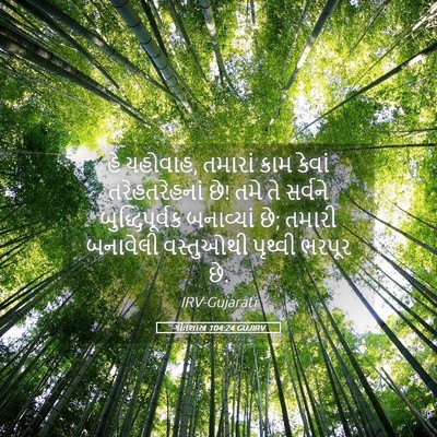 Picture 05 - ગીતશાસ્ત્ર 104:24 GUJIRV - હે યહોવાહ, તમારાં - Bible Verse Picture