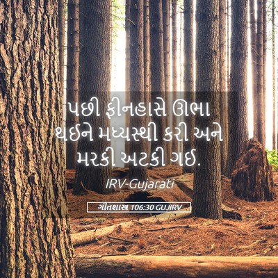 Picture 05 - ગીતશાસ્ત્ર 106:30 GUJIRV - પછી ફીનહાસે ઊભા - Bible Verse Picture
