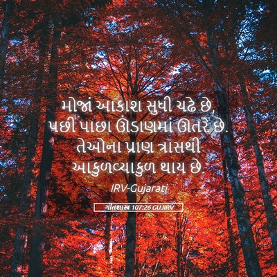 Picture 05 - ગીતશાસ્ત્ર 107:26 GUJIRV - મોજાં આકાશ સુધી - Bible Verse Picture