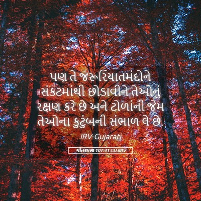 Picture 05 - ગીતશાસ્ત્ર 107:41 GUJIRV - પણ તે - Bible Verse Picture