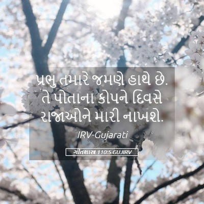 Picture 05 - ગીતશાસ્ત્ર 110:5 GUJIRV - પ્રભુ તમારે જમણે - Bible Verse Picture