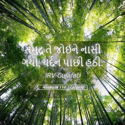 Picture 05 - ગીતશાસ્ત્ર 114:3 GUJIRV - સમુદ્ર તે જોઈને - Bible Verse Picture