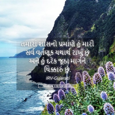 Picture 05 - ગીતશાસ્ત્ર 119:128 GUJIRV - તમારાં શાસનો - Bible Verse Picture