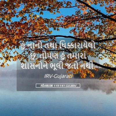 Picture 05 - ગીતશાસ્ત્ર 119:141 GUJIRV - હું નાનો તથા - Bible Verse Picture