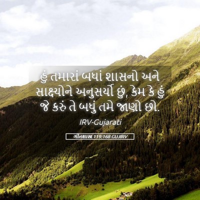 Picture 05 - ગીતશાસ્ત્ર 119:168 GUJIRV - હું તમારાં બધાં - Bible Verse Picture