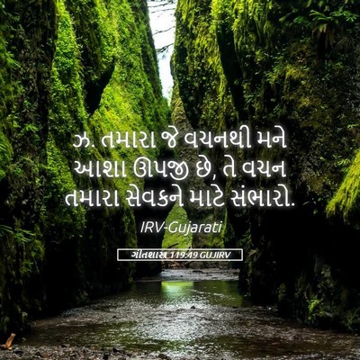Picture 05 - ગીતશાસ્ત્ર 119:49 GUJIRV - ઝ. તમારા જે વચનથી - Bible Verse Picture