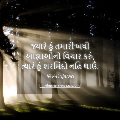 Picture 05 - ગીતશાસ્ત્ર 119:6 GUJIRV - જ્યારે હું તમારી - Bible Verse Picture