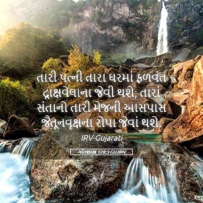 Picture 05 - ગીતશાસ્ત્ર 128:3 GUJIRV - તારી પત્ની તારા - Bible Verse Picture