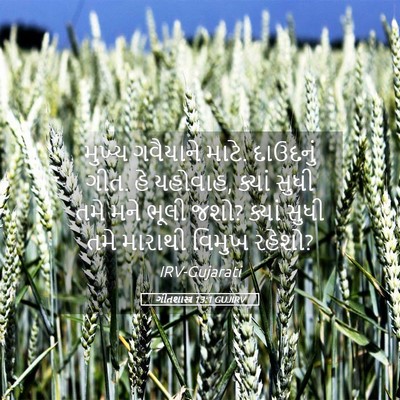 Picture 05 - ગીતશાસ્ત્ર 13:1 GUJIRV - મુખ્ય ગવૈયાને - Bible Verse Picture