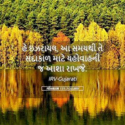 Picture 05 - ગીતશાસ્ત્ર 131:3 GUJIRV - હે ઇઝરાયલ, આ સમયથી - Bible Verse Picture