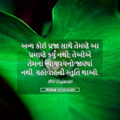 Picture 05 - ગીતશાસ્ત્ર 147:20 GUJIRV - અન્ય કોઈ પ્રજા - Bible Verse Picture