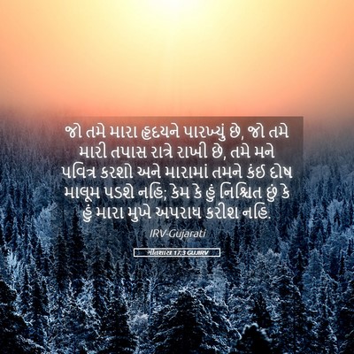 Picture 05 - ગીતશાસ્ત્ર 17:3 GUJIRV - જો તમે મારા હૃદયને - Bible Verse Picture