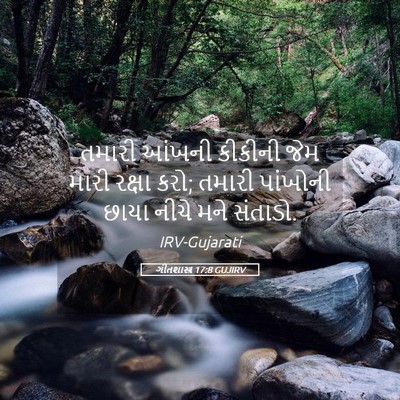 Picture 05 - ગીતશાસ્ત્ર 17:8 GUJIRV - તમારી આંખની - Bible Verse Picture