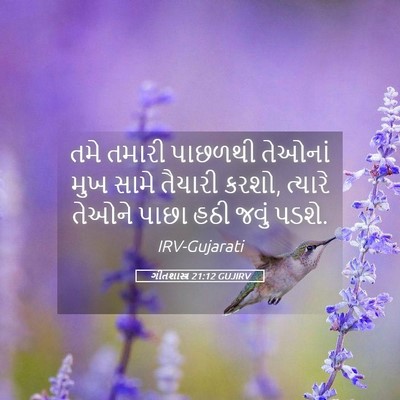 Picture 05 - ગીતશાસ્ત્ર 21:12 GUJIRV - તમે તમારી પાછળથી - Bible Verse Picture
