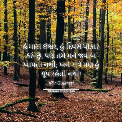 Picture 05 - ગીતશાસ્ત્ર 22:2 GUJIRV - હે મારા ઈશ્વર, હું - Bible Verse Picture
