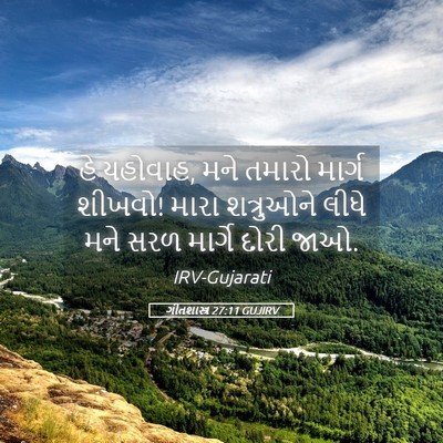 Picture 05 - ગીતશાસ્ત્ર 27:11 GUJIRV - હે યહોવાહ, મને - Bible Verse Picture