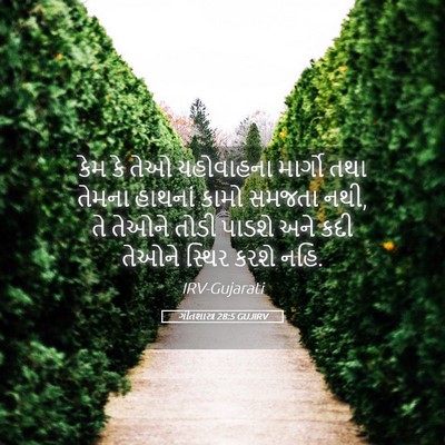 Picture 05 - ગીતશાસ્ત્ર 28:5 GUJIRV - કેમ કે તેઓ - Bible Verse Picture