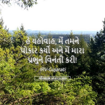Picture 05 - ગીતશાસ્ત્ર 30:8 GUJIRV - હે યહોવાહ, મેં તમને - Bible Verse Picture