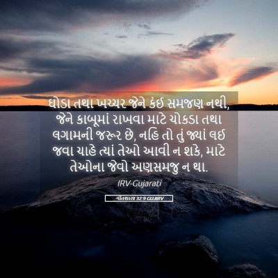 Picture 05 - ગીતશાસ્ત્ર 32:9 GUJIRV - ઘોડા તથા ખચ્ચર - Bible Verse Picture