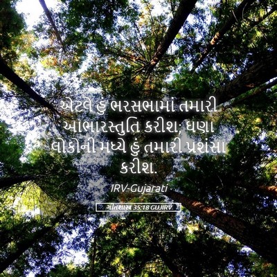 Picture 05 - ગીતશાસ્ત્ર 35:18 GUJIRV - એટલે હું ભરસભામાં - Bible Verse Picture