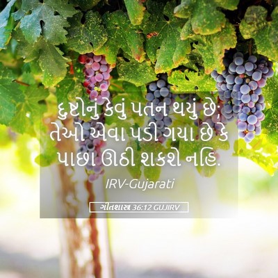 Picture 05 - ગીતશાસ્ત્ર 36:12 GUJIRV - દુષ્ટોનું કેવું - Bible Verse Picture