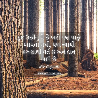 Picture 05 - ગીતશાસ્ત્ર 37:21 GUJIRV - દુષ્ટ ઉછીનું લે છે - Bible Verse Picture
