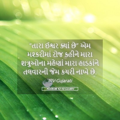 Picture 05 - ગીતશાસ્ત્ર 42:10 GUJIRV - “તારા ઈશ્વર ક્યાં - Bible Verse Picture