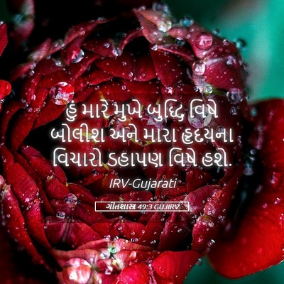 Picture 05 - ગીતશાસ્ત્ર 49:3 GUJIRV - હું મારે મુખે - Bible Verse Picture