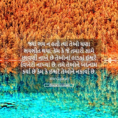 Picture 05 - ગીતશાસ્ત્ર 53:5 GUJIRV - જ્યાં ભય ન હતો - Bible Verse Picture