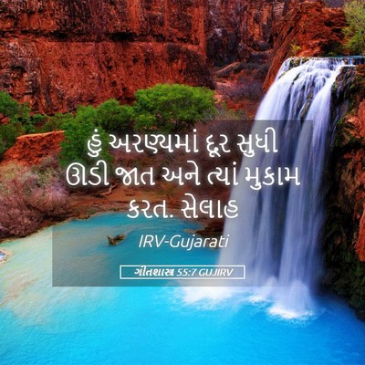 Picture 05 - ગીતશાસ્ત્ર 55:7 GUJIRV - હું અરણ્યમાં દૂર - Bible Verse Picture