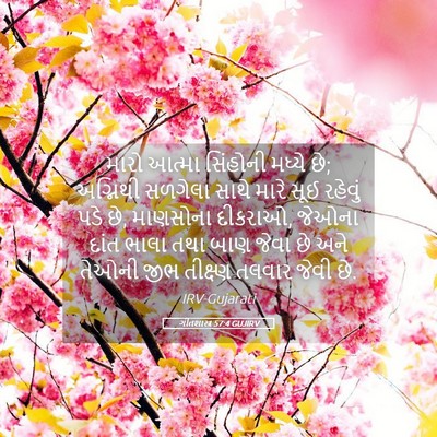 Picture 05 - ગીતશાસ્ત્ર 57:4 GUJIRV - મારો આત્મા - Bible Verse Picture