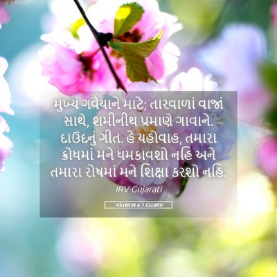 Picture 05 - ગીતશાસ્ત્ર 6:1 GUJIRV - મુખ્ય ગવૈયાને - Bible Verse Picture