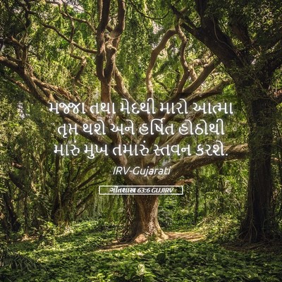 Picture 05 - ગીતશાસ્ત્ર 63:6 GUJIRV - મજ્જા તથા મેદથી - Bible Verse Picture
