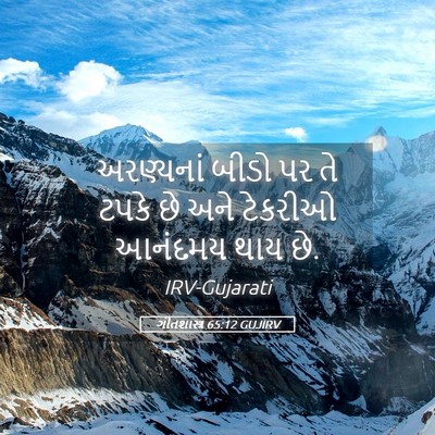 Picture 05 - ગીતશાસ્ત્ર 65:12 GUJIRV - અરણ્યનાં બીડો પર - Bible Verse Picture