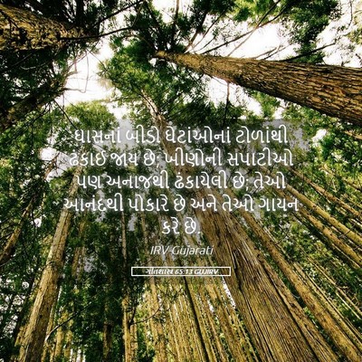 Picture 05 - ગીતશાસ્ત્ર 65:13 GUJIRV - ઘાસનાં બીડો - Bible Verse Picture