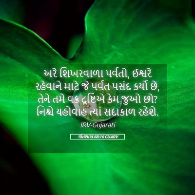 Picture 05 - ગીતશાસ્ત્ર 68:16 GUJIRV - અરે શિખરવાળા - Bible Verse Picture