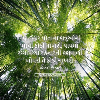 Picture 05 - ગીતશાસ્ત્ર 68:21 GUJIRV - પણ ઈશ્વર પોતાના - Bible Verse Picture