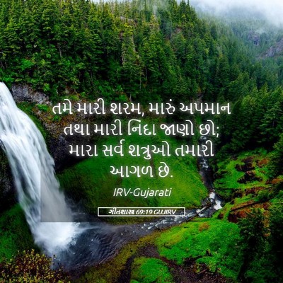 Picture 05 - ગીતશાસ્ત્ર 69:19 GUJIRV - તમે મારી શરમ, મારું - Bible Verse Picture