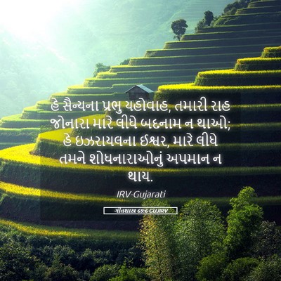 Picture 05 - ગીતશાસ્ત્ર 69:6 GUJIRV - હે સૈન્યના પ્રભુ - Bible Verse Picture
