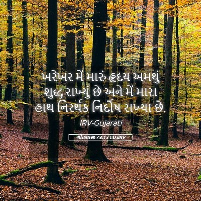 Picture 05 - ગીતશાસ્ત્ર 73:13 GUJIRV - ખરેખર મેં મારું - Bible Verse Picture