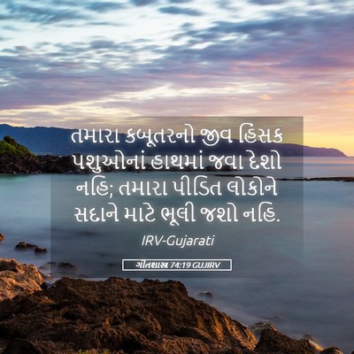 Picture 05 - ગીતશાસ્ત્ર 74:19 GUJIRV - તમારા કબૂતરનો જીવ - Bible Verse Picture