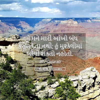 Picture 05 - ગીતશાસ્ત્ર 77:4 GUJIRV - તમે મને મારી આંખો - Bible Verse Picture