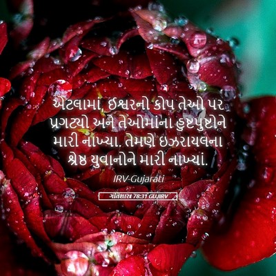 Picture 05 - ગીતશાસ્ત્ર 78:31 GUJIRV - એટલામાં, ઈશ્વરનો - Bible Verse Picture