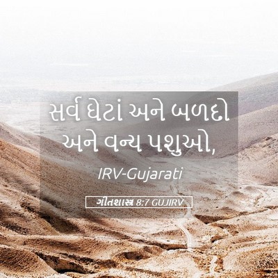 Picture 05 - ગીતશાસ્ત્ર 8:7 GUJIRV - સર્વ ઘેટાં અને - Bible Verse Picture