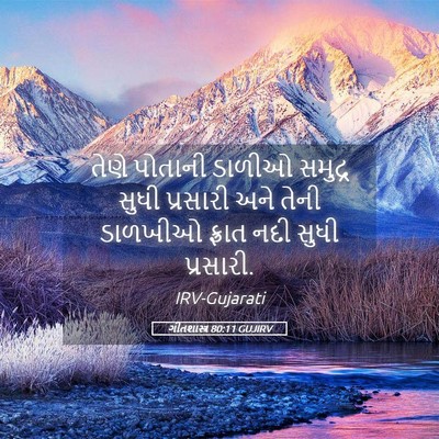 Picture 05 - ગીતશાસ્ત્ર 80:11 GUJIRV - તેણે પોતાની ડાળીઓ - Bible Verse Picture