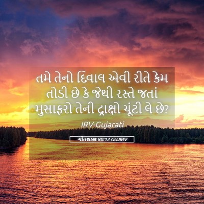 Picture 05 - ગીતશાસ્ત્ર 80:12 GUJIRV - તમે તેનો દિવાલ એવી - Bible Verse Picture