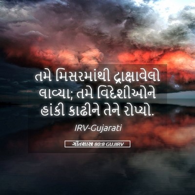 Picture 05 - ગીતશાસ્ત્ર 80:8 GUJIRV - તમે મિસરમાંથી - Bible Verse Picture