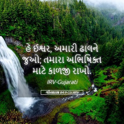 Picture 05 - ગીતશાસ્ત્ર 84:9 GUJIRV - હે ઈશ્વર, અમારી - Bible Verse Picture
